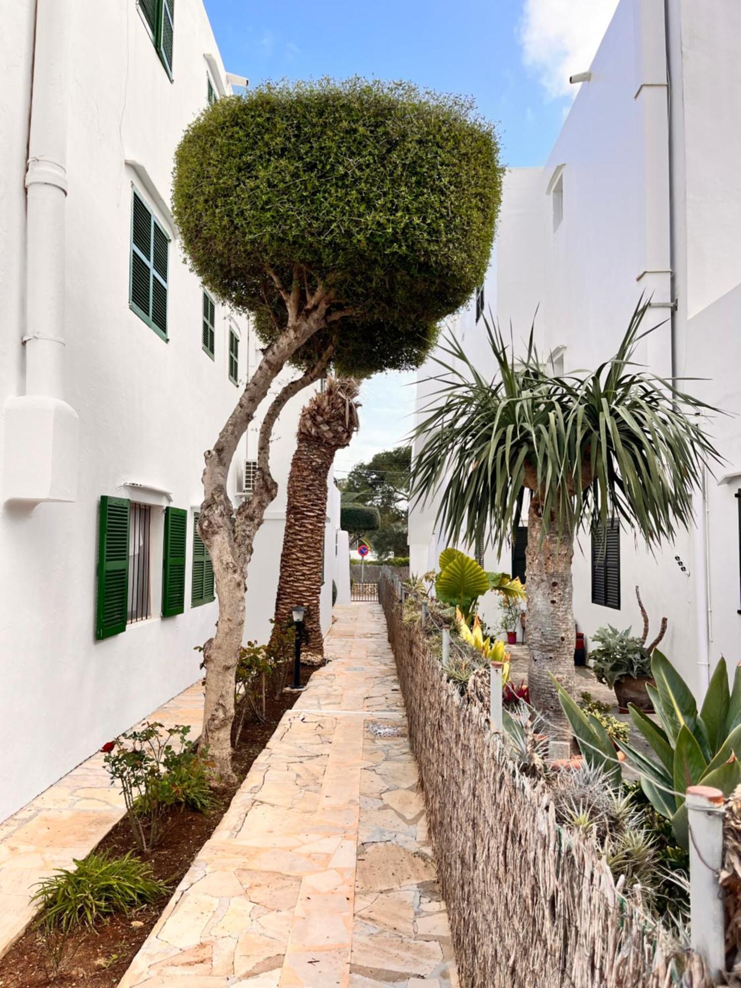 Casa Ceiba Maria Hotel Cala d'Or  Exterior photo